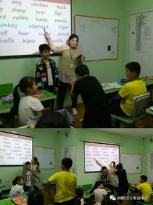 石家庄文翰教育培训学校正式获得剑桥CICE考点授权，助推英语教育国际化发展